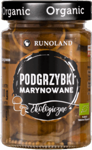 542db675667265084ad6b5b1733a0172