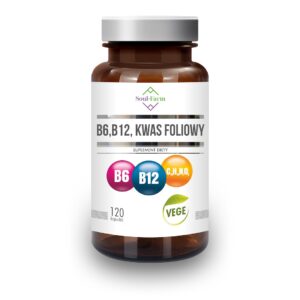 93a832fca139037cbd418ab917fbea4a