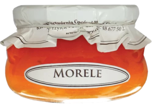 75027ef5d888323f2b706370cf091f0d